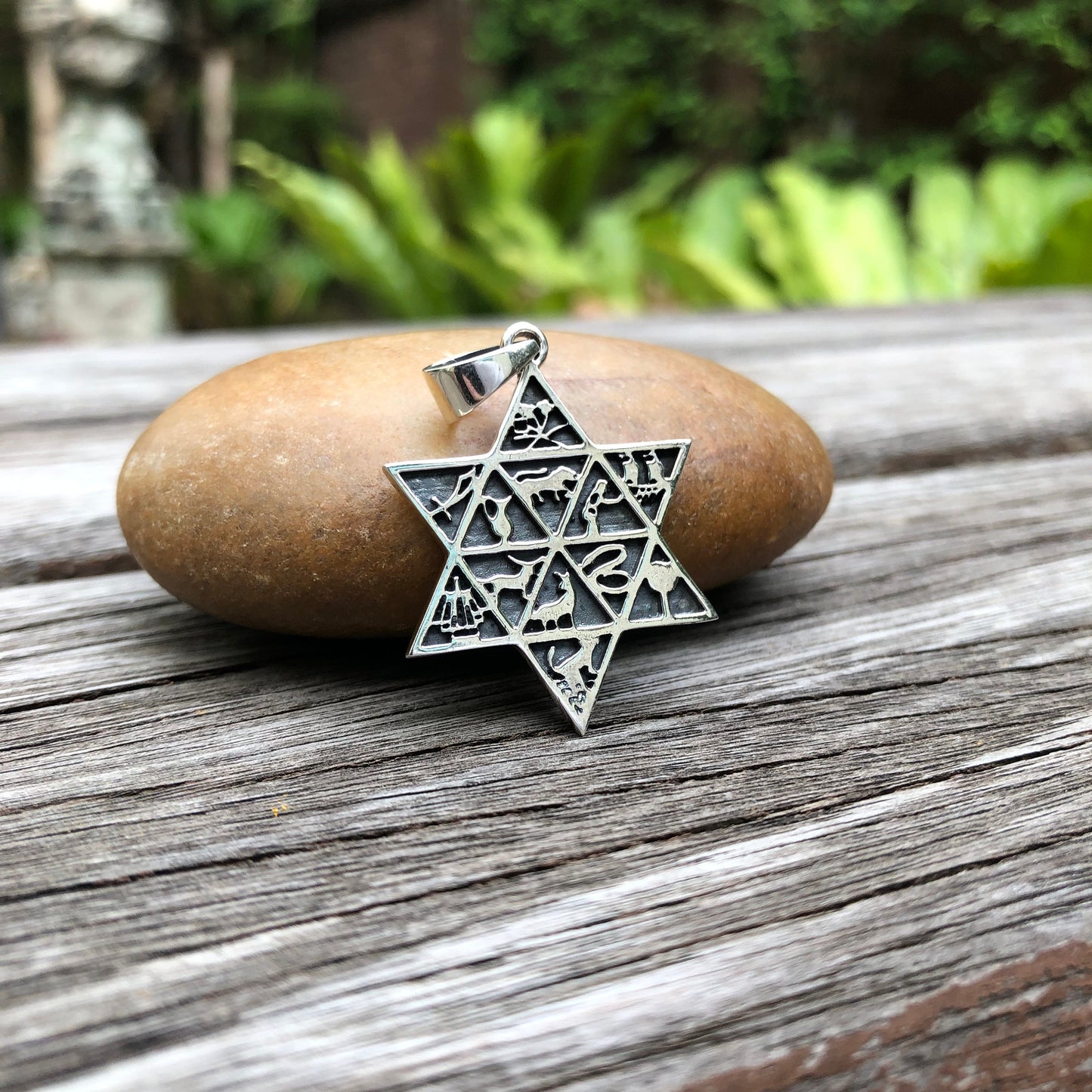 Jewish Star of David with 12 Israel Tribes Magen Star Judaism Symbol Pendant/ Necklace