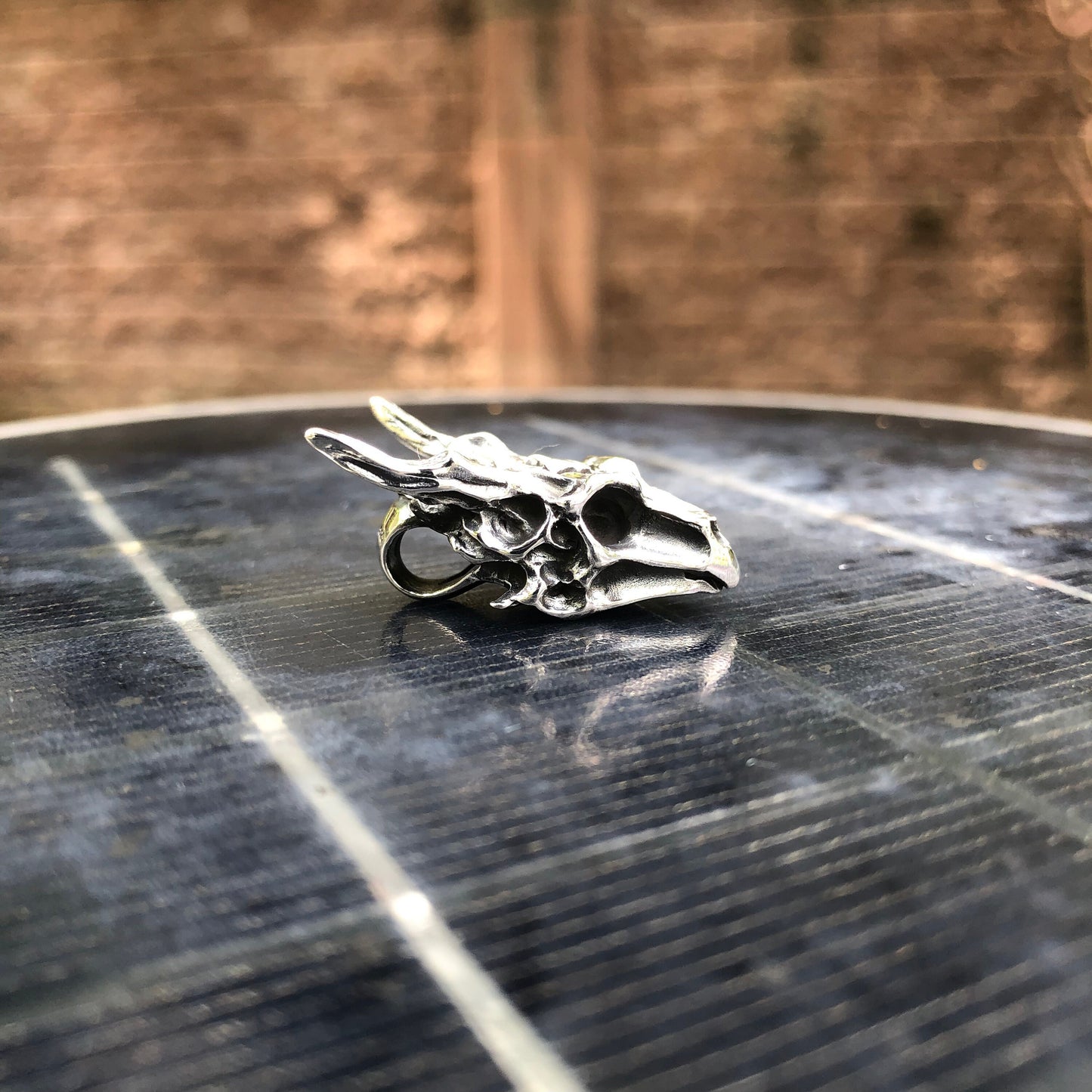 Skull House of the Dragon Medieval Pendant/Necklace
