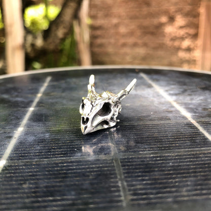 Skull House of the Dragon Medieval Pendant/Necklace