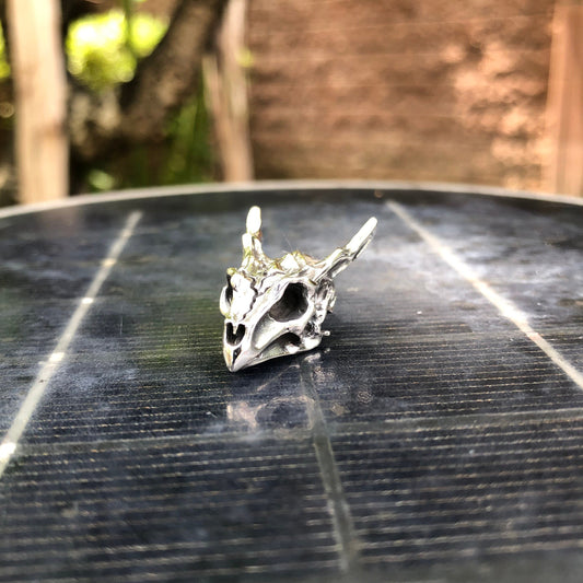 Skull House of the Dragon Medieval Pendant/Necklace