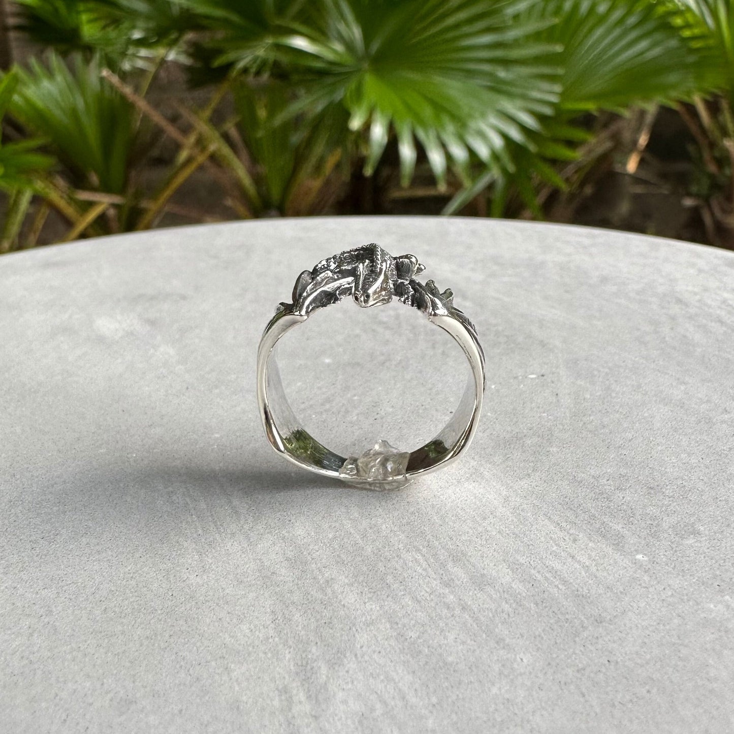 Draco Flying Dragon Lizard Volans Reptile Ring