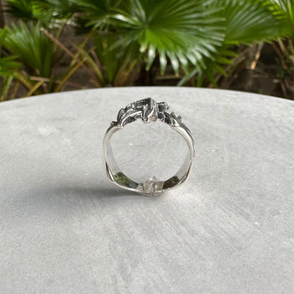 Draco Flying Dragon Lizard Volans Reptile Ring