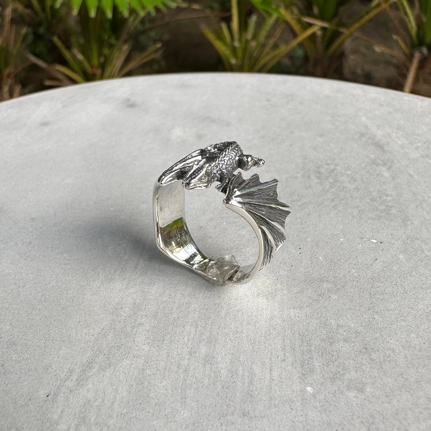 Draco Flying Dragon Lizard Volans Reptile Ring