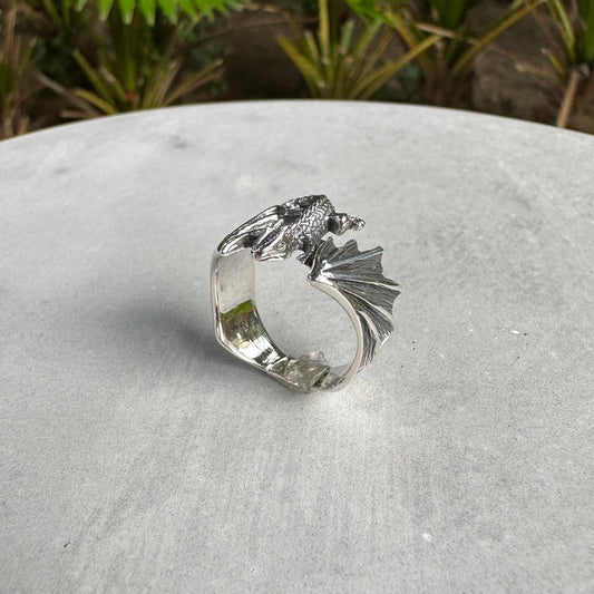 Draco Flying Dragon Lizard Volans Reptile Ring